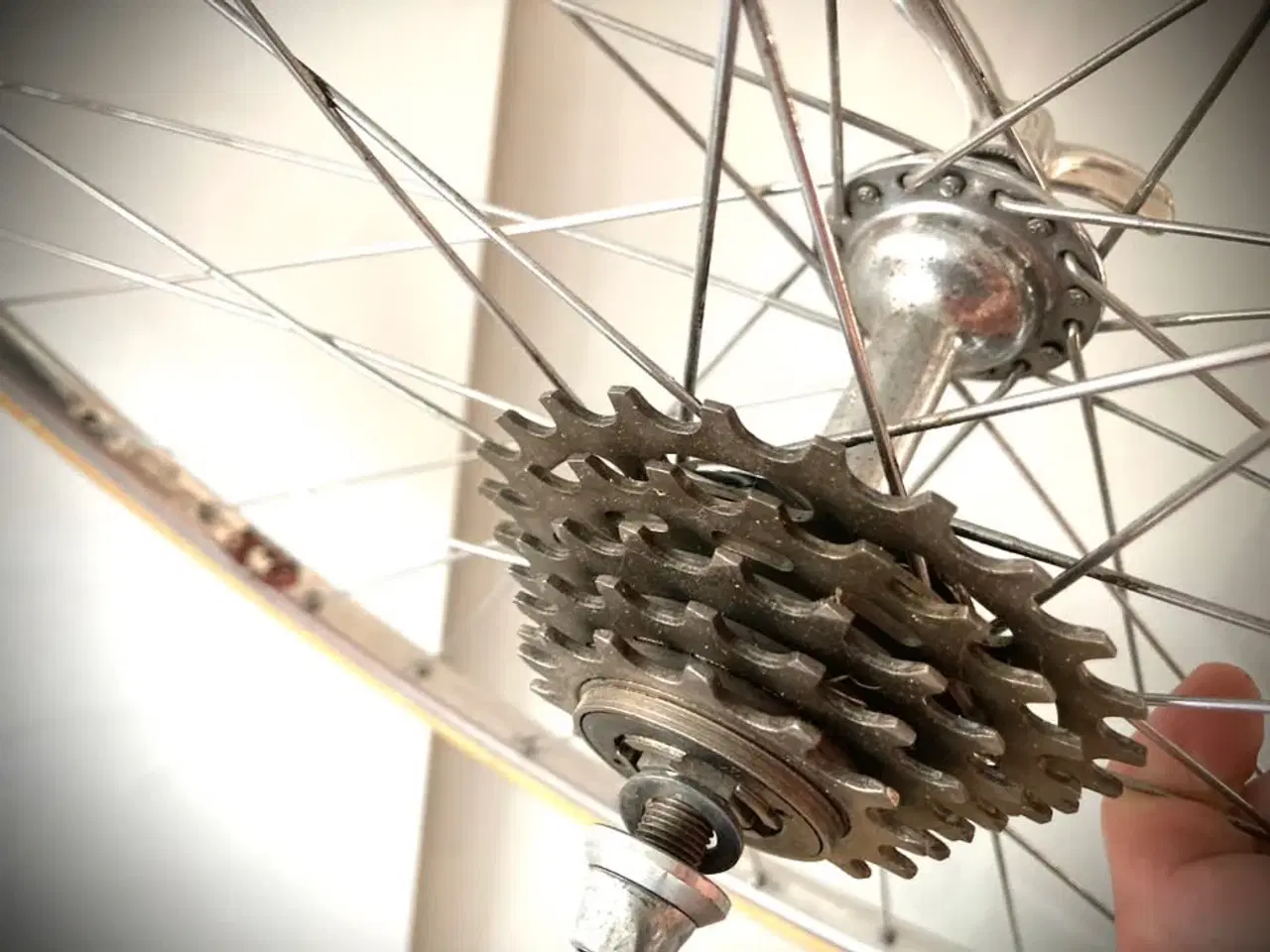 Billede 17 - 28" Fiamme / Mozzi Cidneo Italy hjulsæt / 5-speed