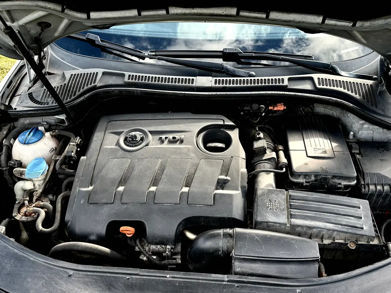 Billede 12 - Superb Greenline 22 km/l