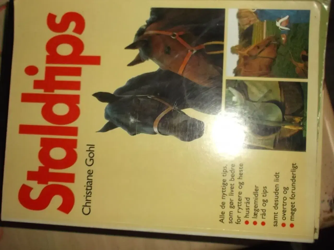 Billede 4 - 4 uindbundne hestebøger