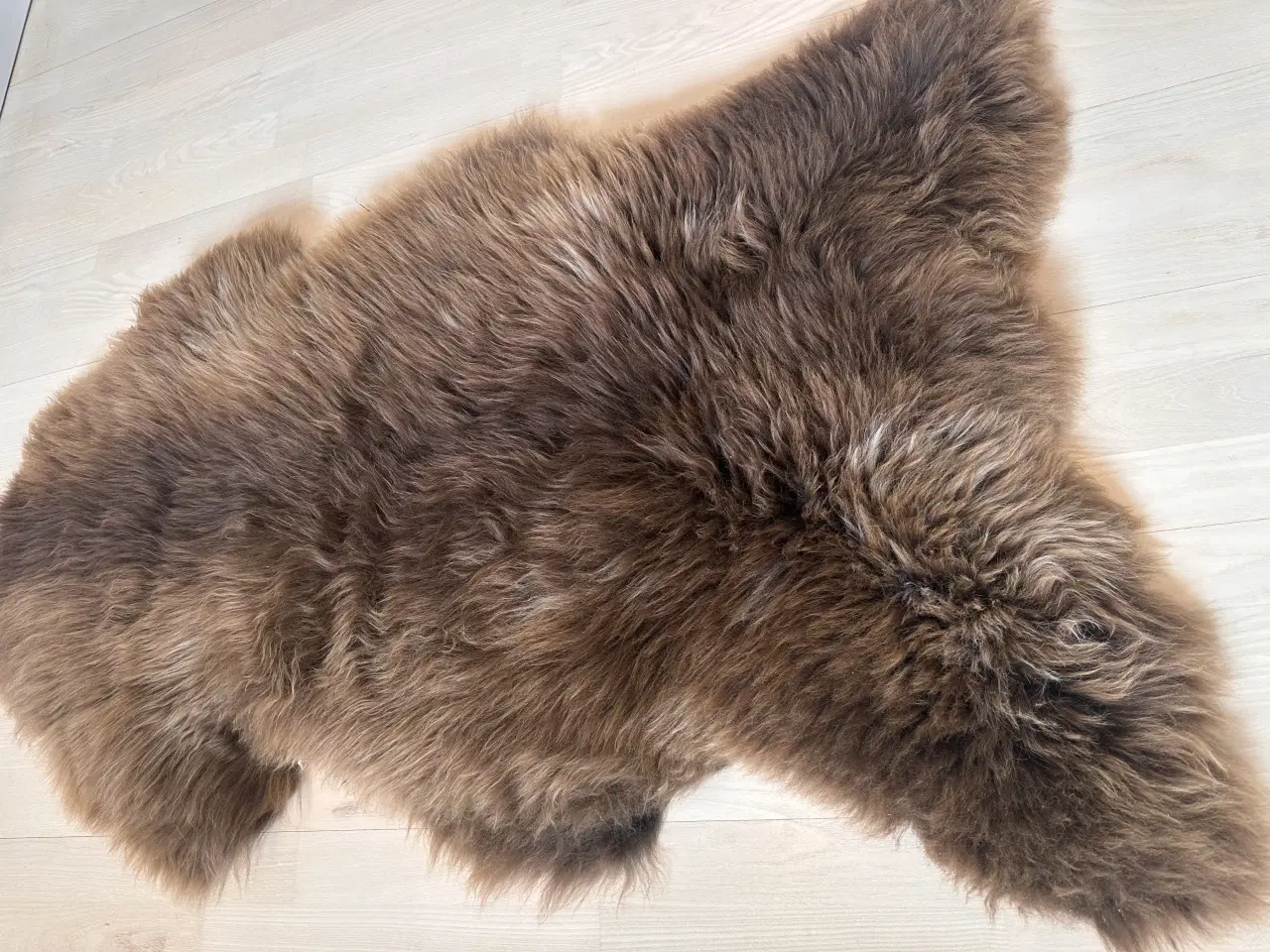 Billede 4 - Helt nyt dansk lammeskind
