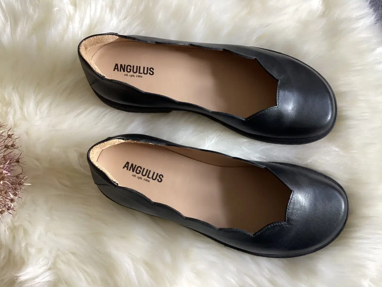 Billede 2 - ANGULUS klassisk ballerina sort str 41