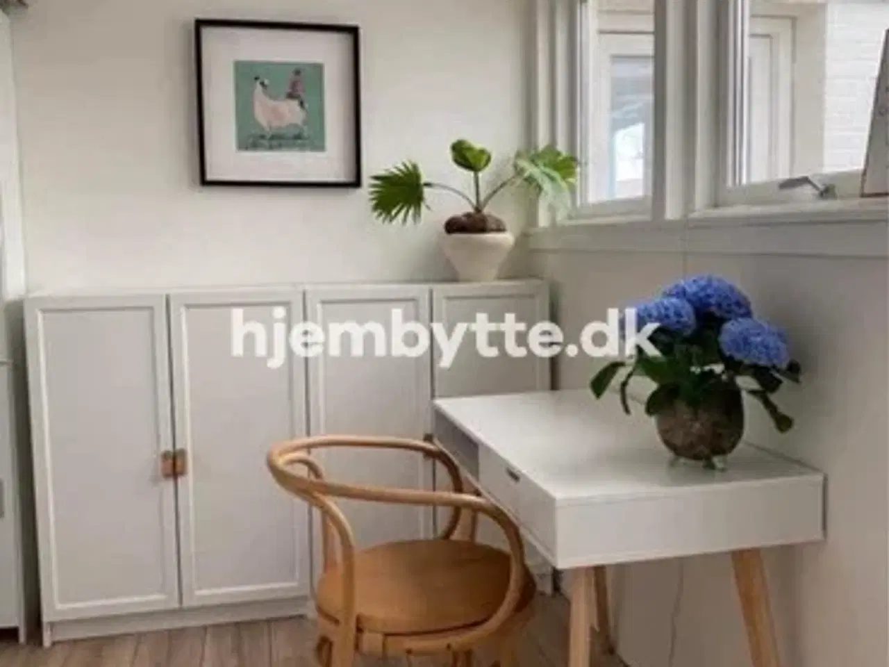 Billede 4 - Hjembytte - Agervang