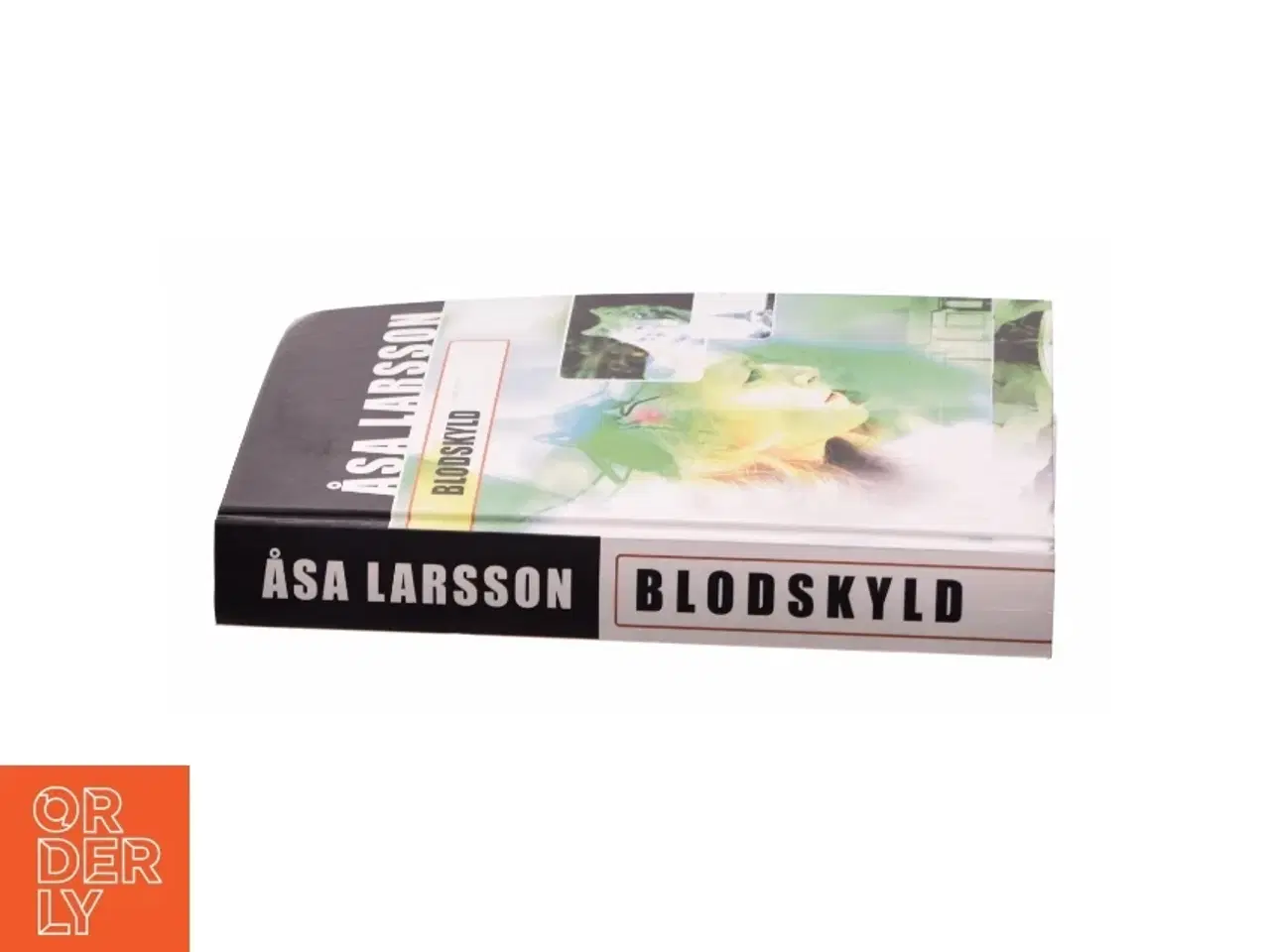 Billede 3 - Blodskyld af Åsa Larsson  fra Bog