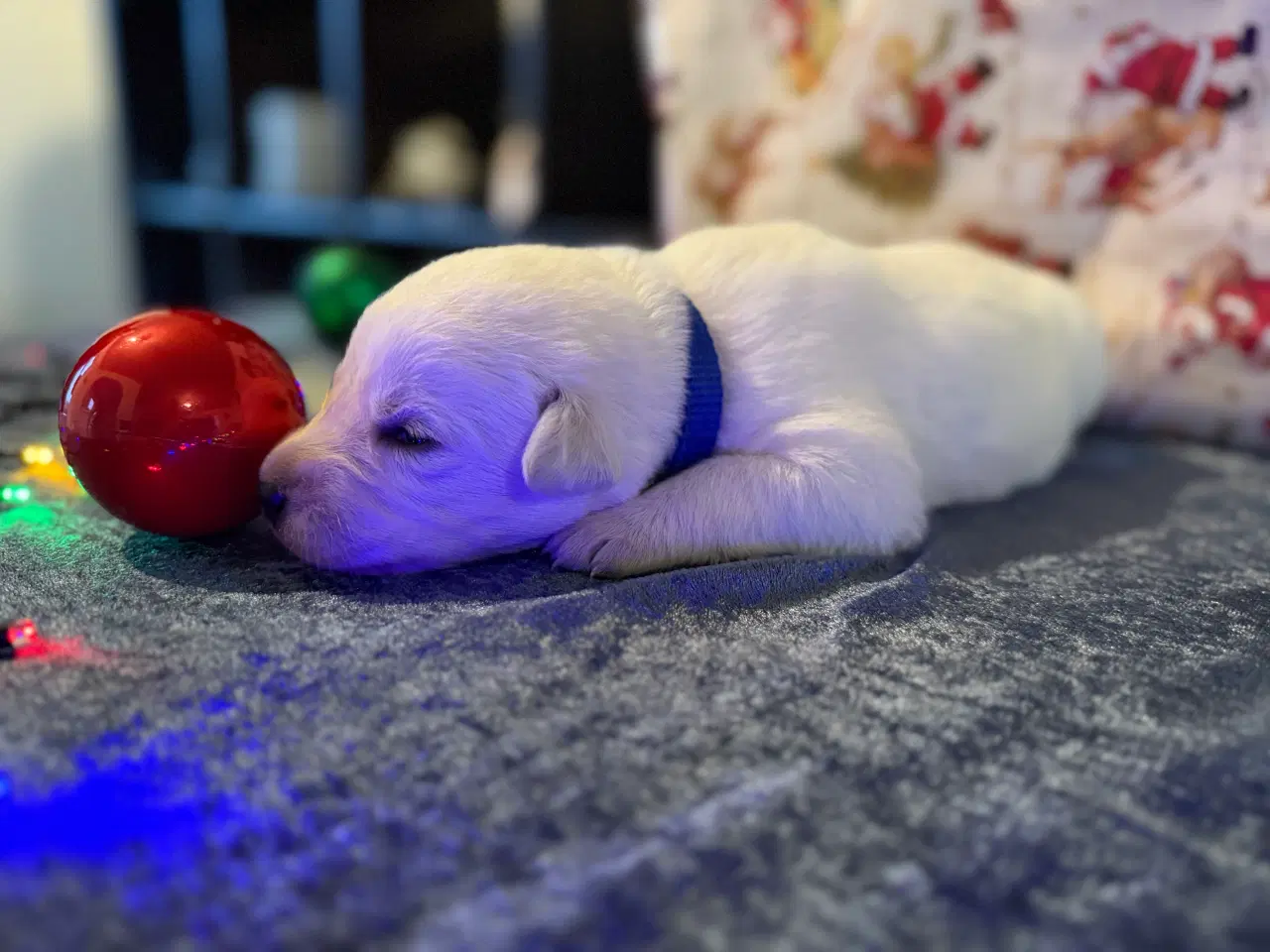 Billede 6 - Ønsker i en blød julegave 3 tilbage