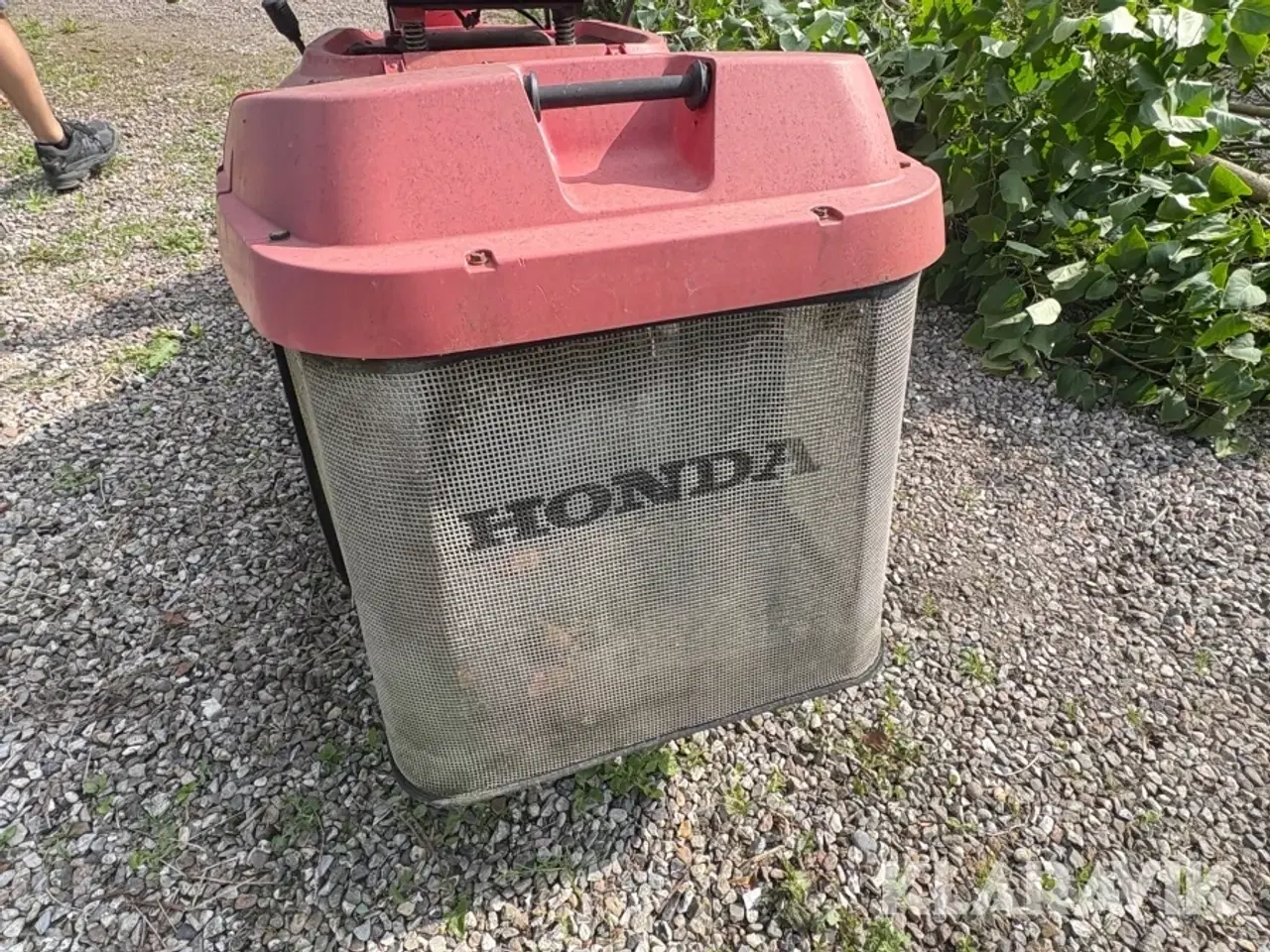 Billede 12 - Havetraktor Honda 1211
