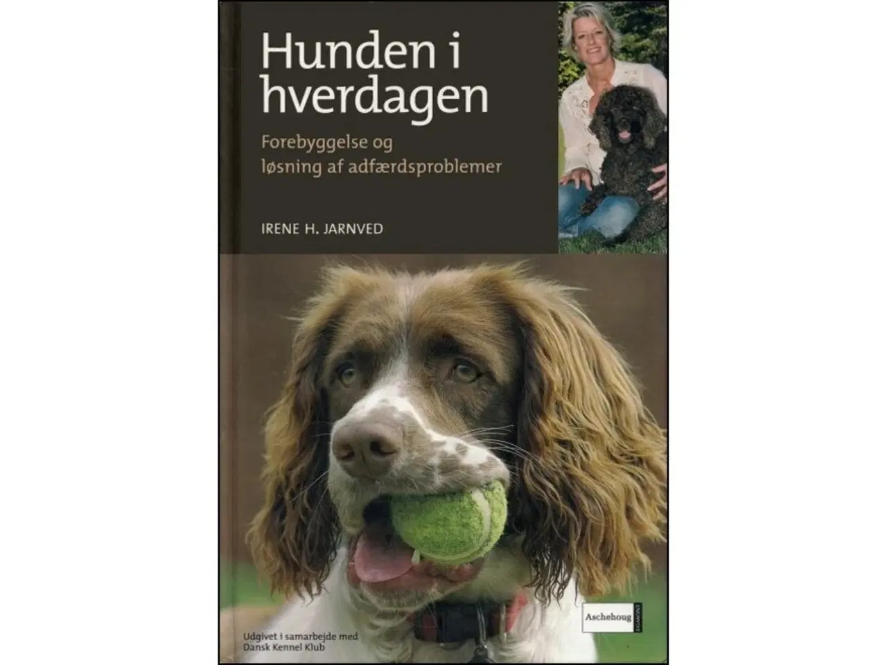 Billede 1 - Hunden i Hverdagen