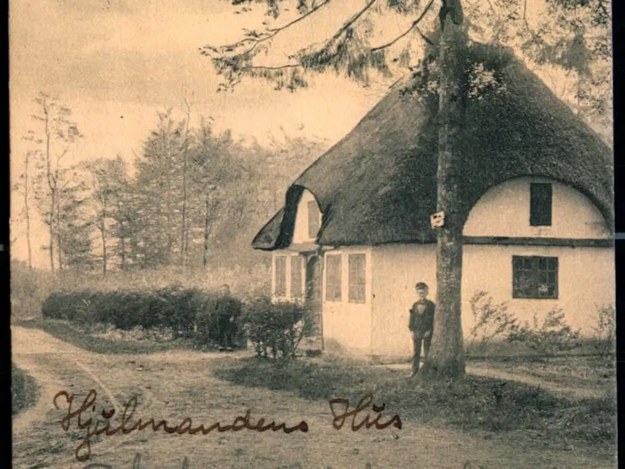 Billede 1 - Hindsgavl Skov - Peter Alstrup 611 - Brugt