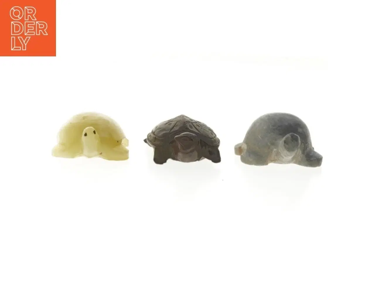 Billede 5 - sten skildpadder (str. 5-7 cm)