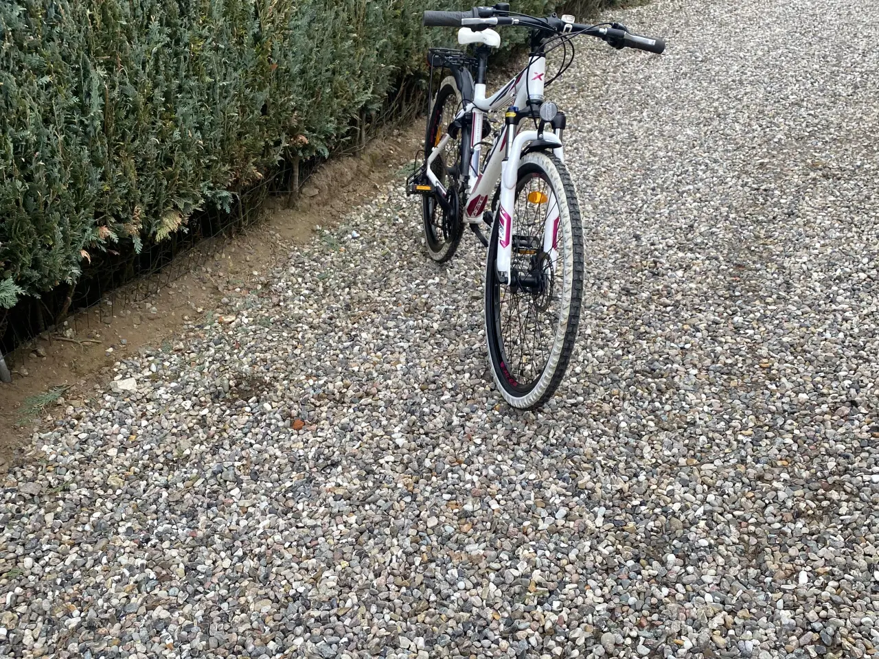 Billede 6 - 24 tommer cykel