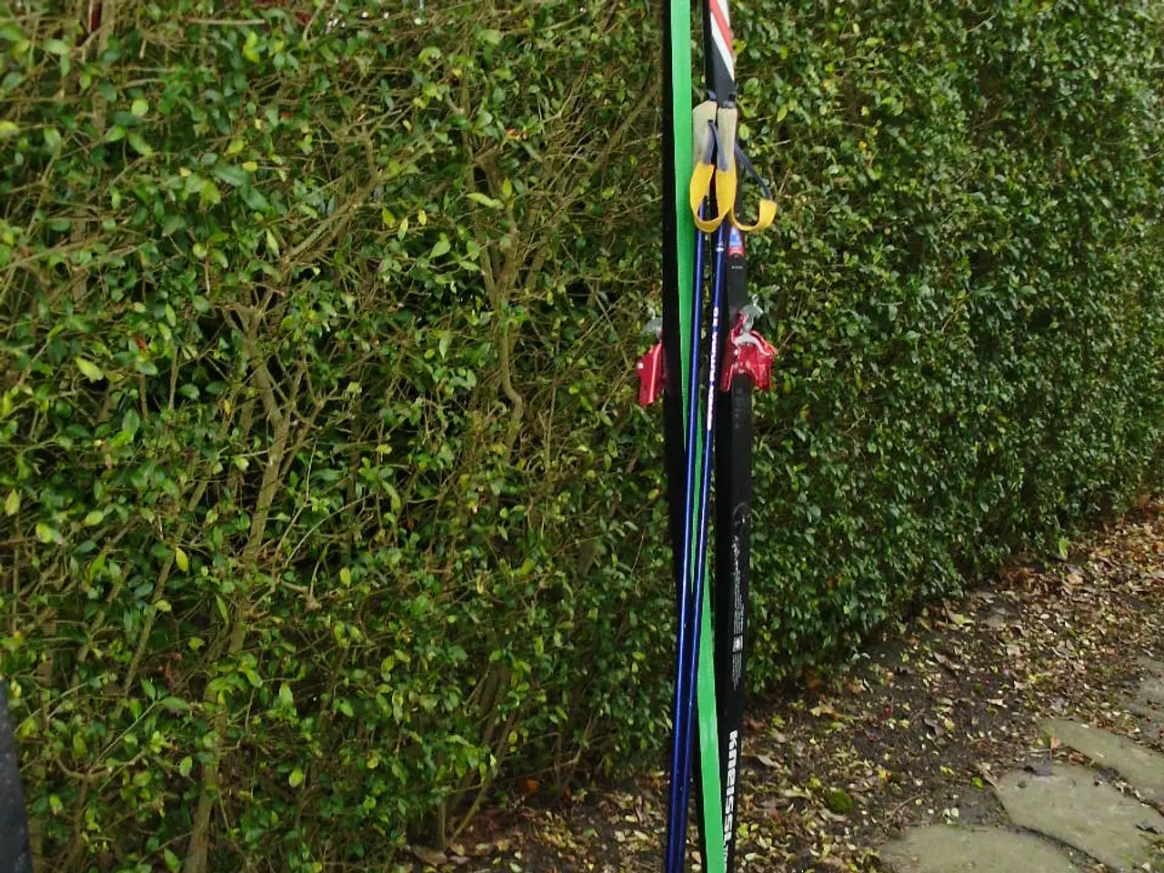 Billede 3 - Diverse ski