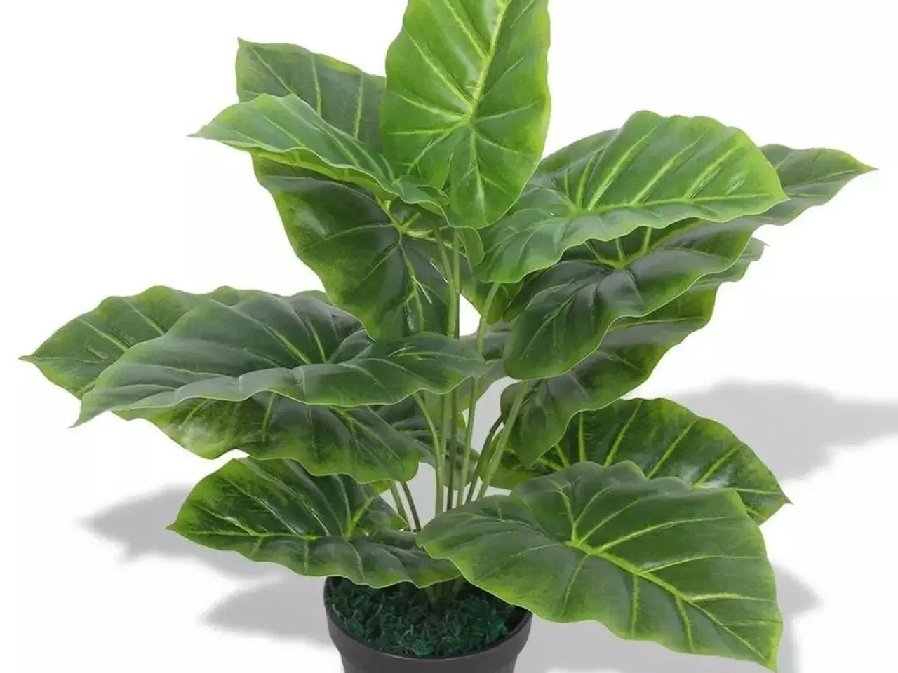 Billede 1 - Kunstig taro-plante med potte 45 cm grøn