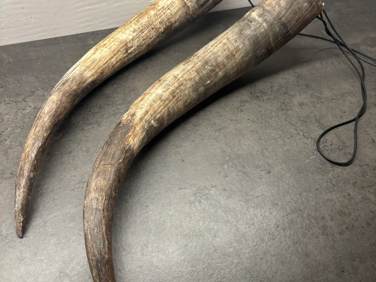 Billede 1 - 2 stk. Kohorn/Drikkehorn