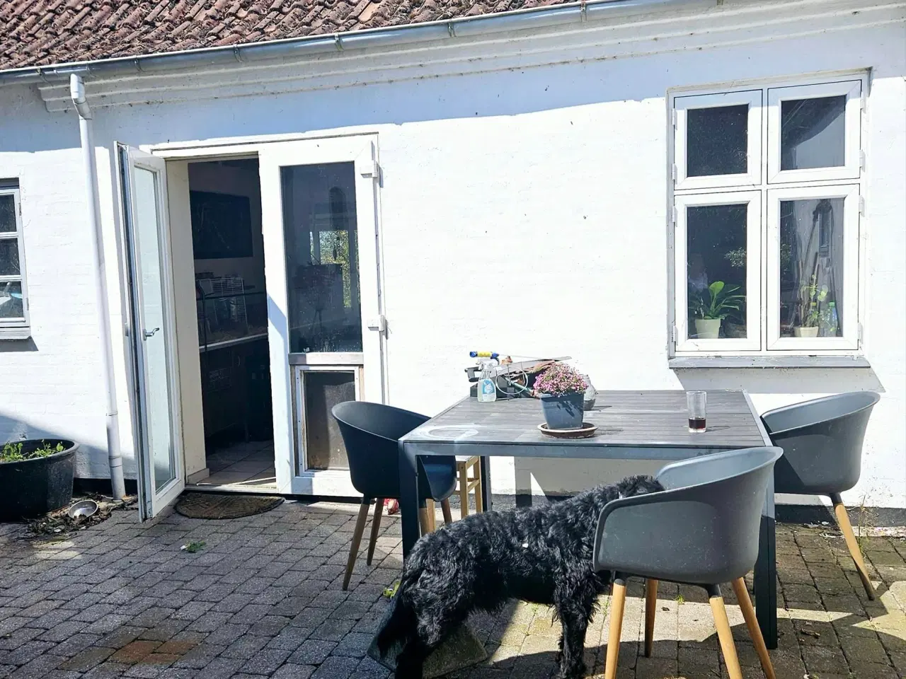 Billede 3 - Sommerhus/helårs bolig ved Bandholm.