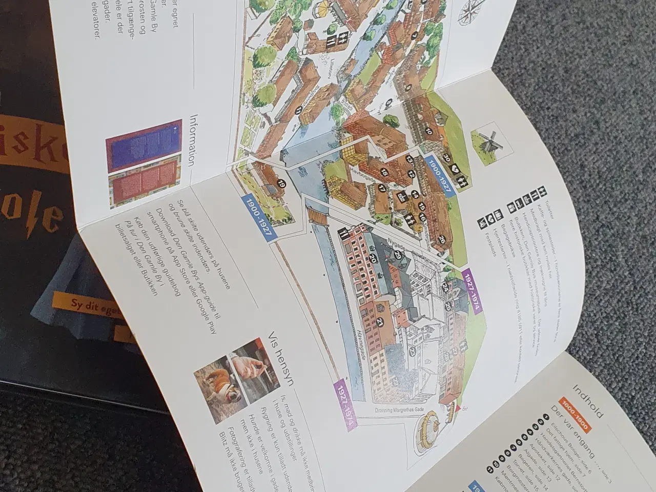 Billede 8 - Den gamle by I Århus  bog
