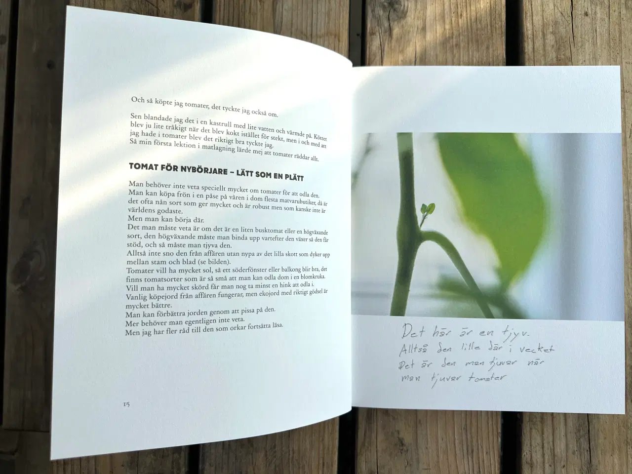 Billede 5 - Stefans Store Feta Röta – Stefan Sundström