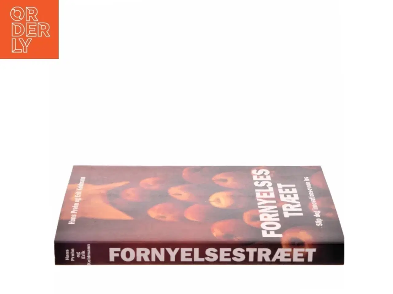 Billede 2 - Fornyelsestræet : slip dog innovations-evnen løs (Bog)