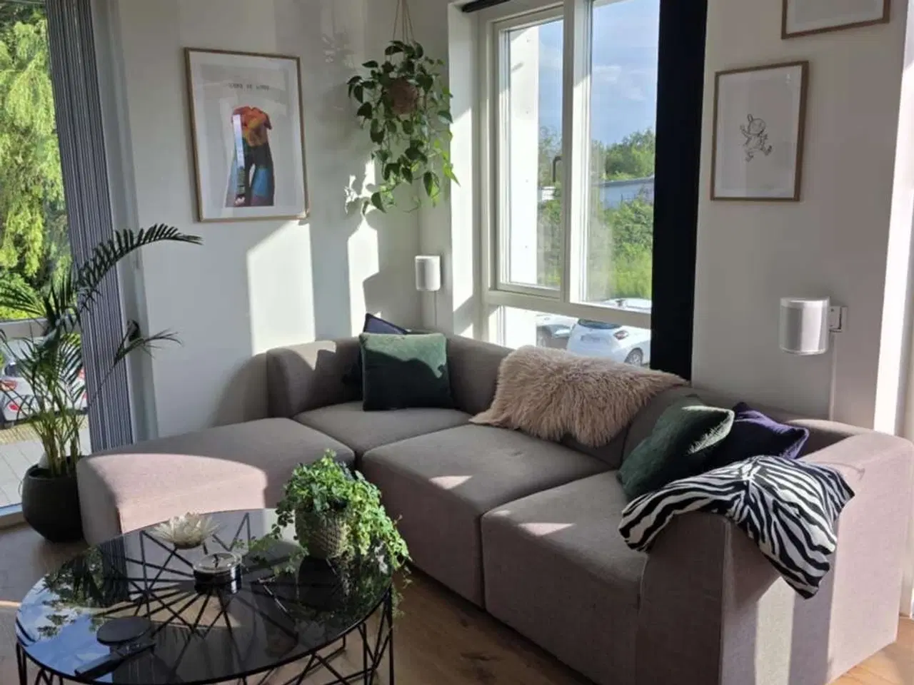 Billede 1 - Sofa 