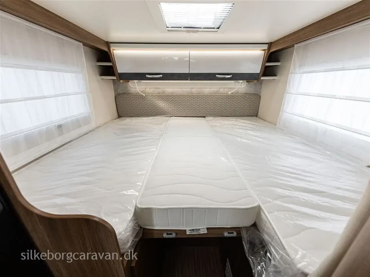 Billede 17 - 2026 - Elnagh Baron