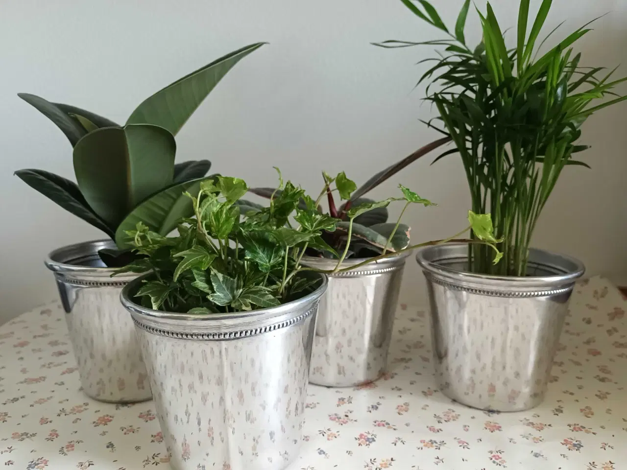 Billede 1 - 4 Planter med sølvfarvet potteskjulere