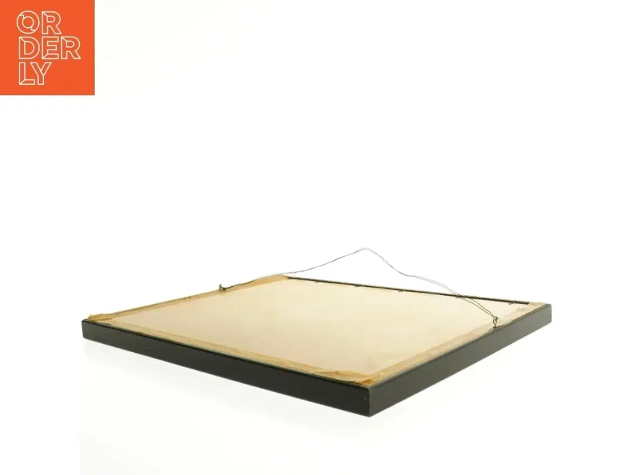 Billede 3 - Indrammet botanisk plakat (str. 40 x 30,5 cm)