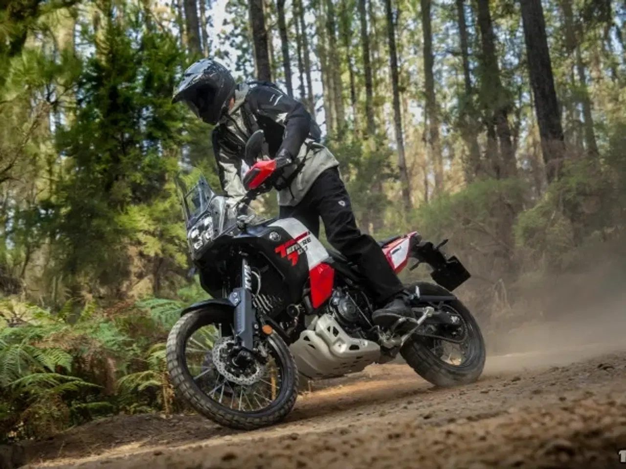 Billede 18 - Yamaha Ténéré 700 World Raid