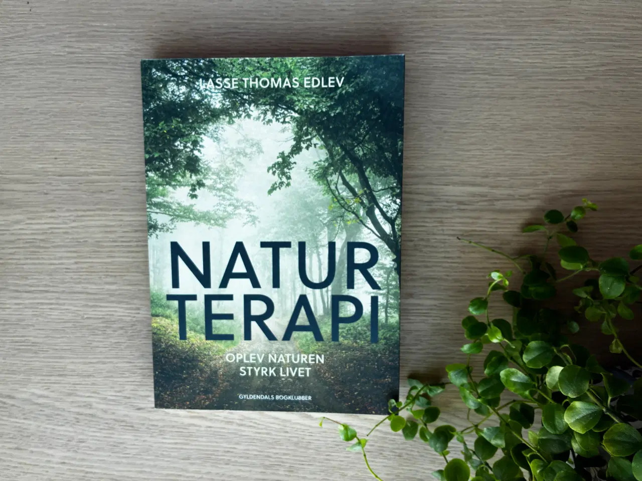 Billede 1 - NATURTERAPI   Oplev Naturen - Styrk Livet