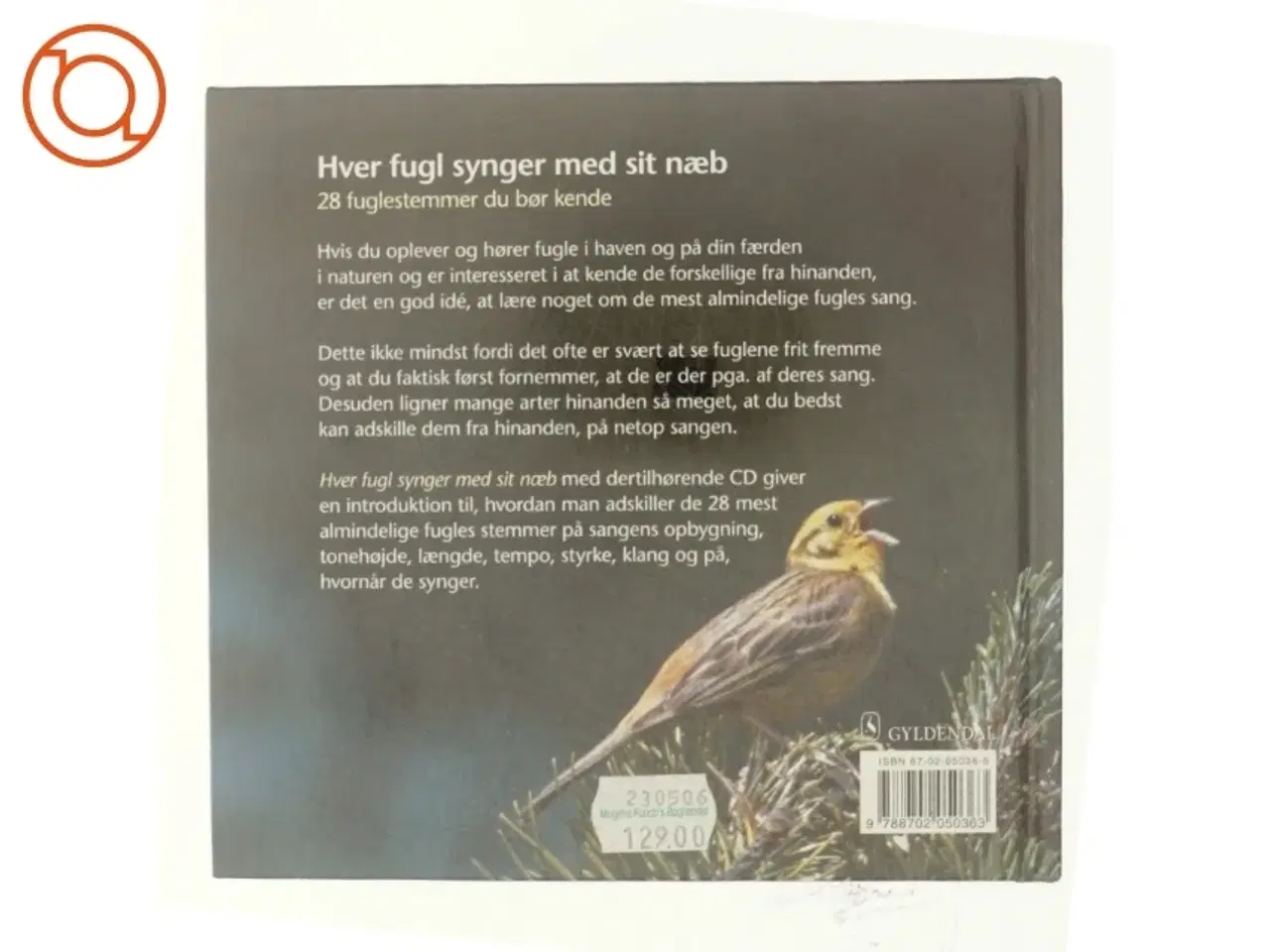 Billede 3 - Hver fugl synger med sit næb : 28 fuglestemmer, du bør kende (Bog)