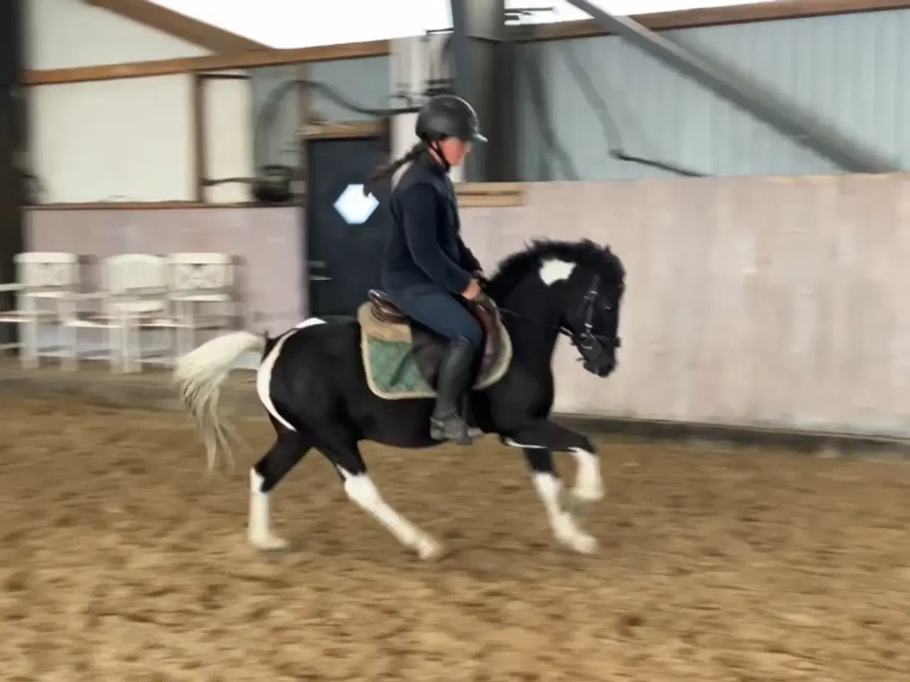 Billede 3 - Sød kat 3 pony