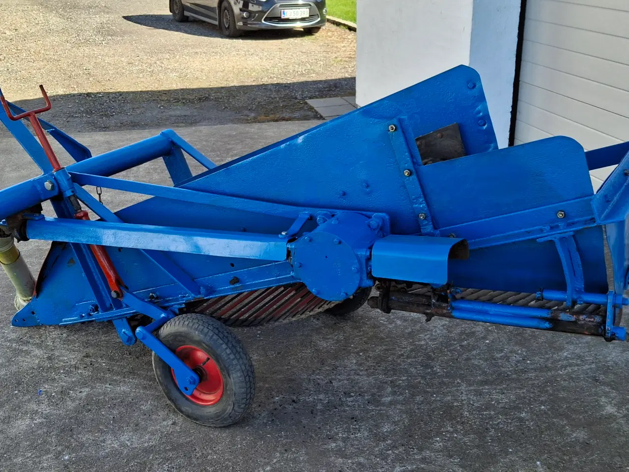 Billede 2 - Kartoffel sideudlægger