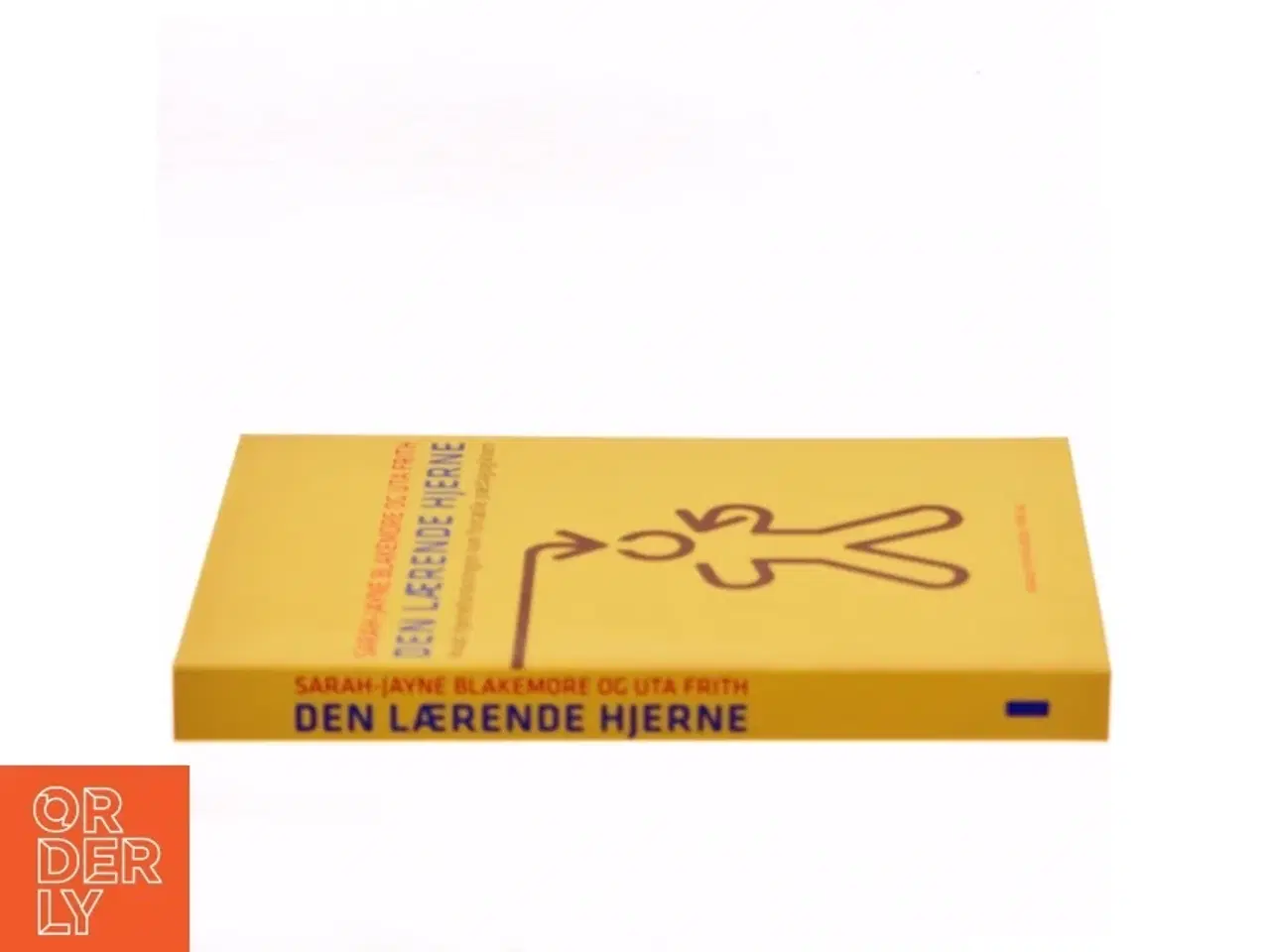 Billede 2 - Den lærende hjerne : hvad hjerneforskningen kan fortælle pædagogikken (Bog)