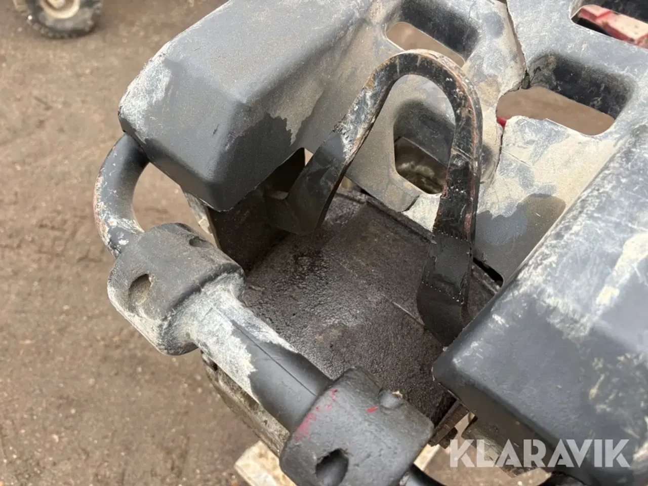 Billede 6 - Jordloppe Shatal