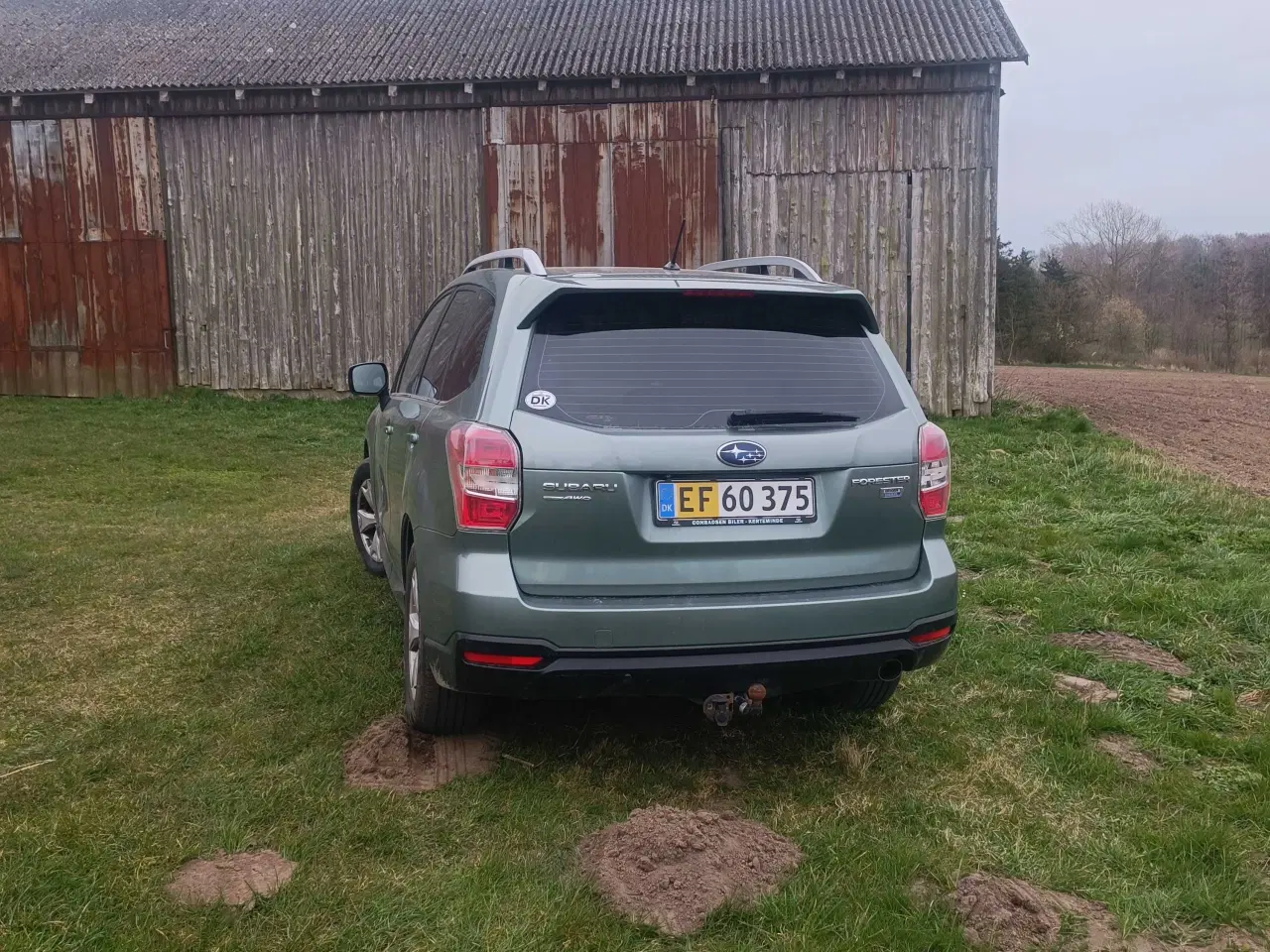 Billede 4 - Subraue Forester 