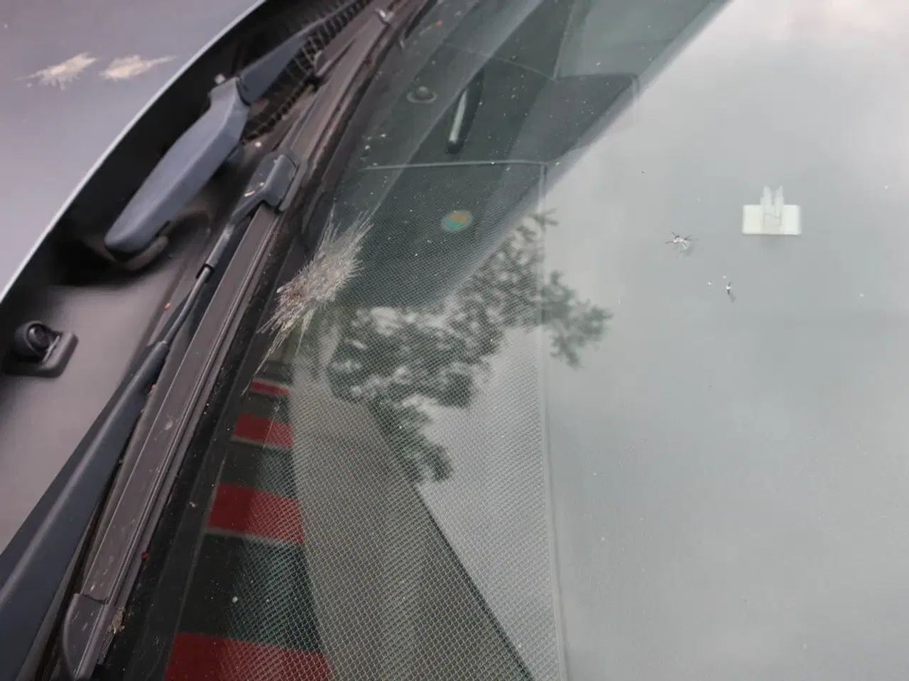 Billede 28 - Personbil MERCEDES E220 Bluetec diesel (momsfri) (uden afgift)