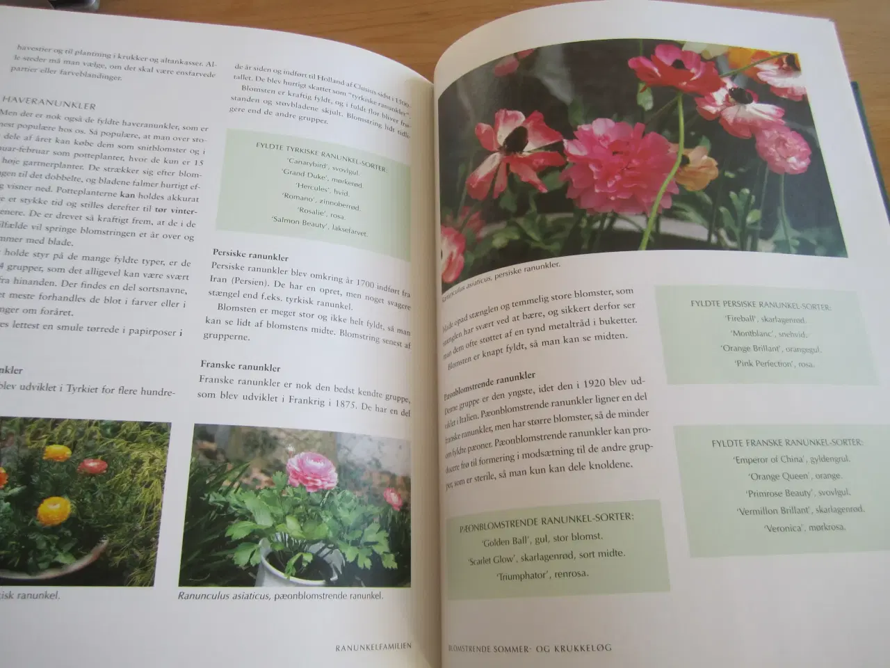 Billede 4 - BYD. BLOMSTRENDE SOMMER OG KRUKKELØG.