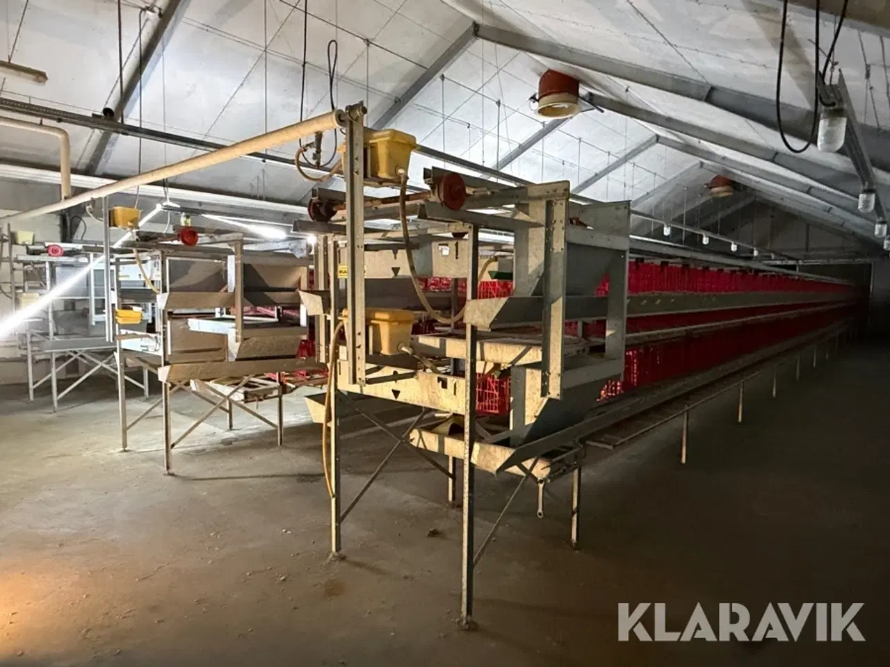 Billede 2 - Produktionslinje Landmeco æglægger system