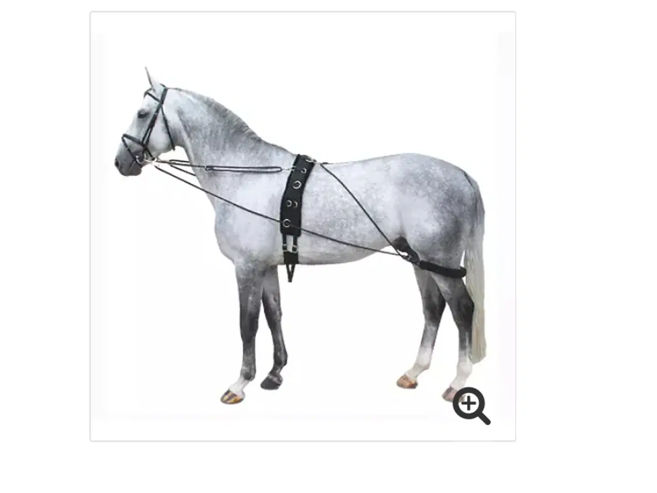 Billede 1 - Pessoa longerings system + underlag til gjor