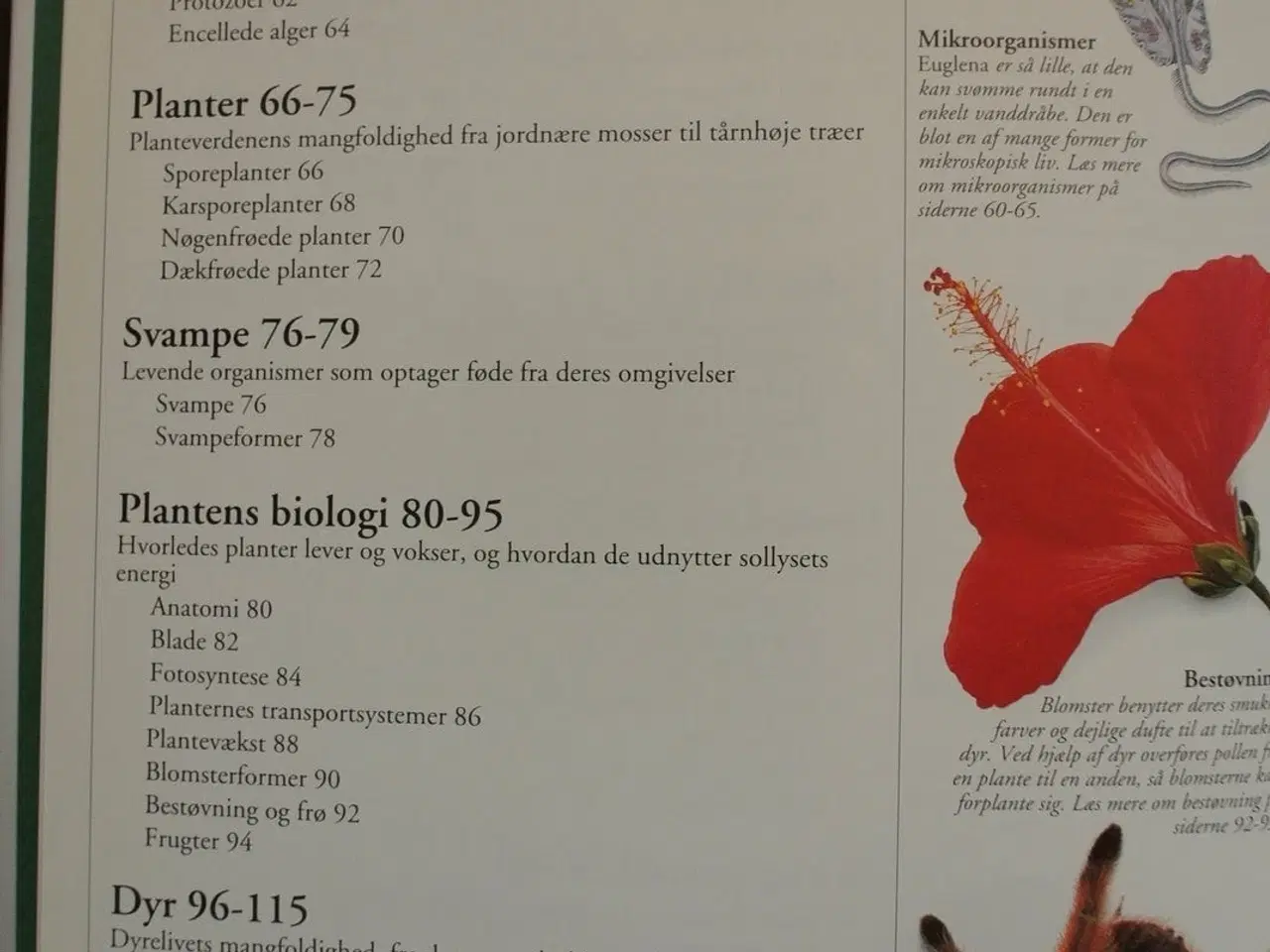 Billede 3 - politikens visuelle håndbog natur, Af tommy dybbro