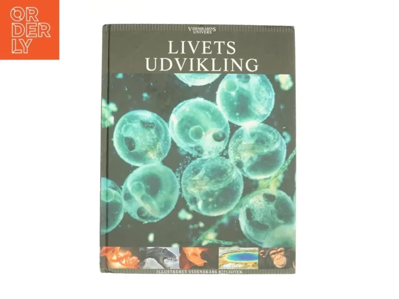 Billede 1 - Livets udvikling (Bog)