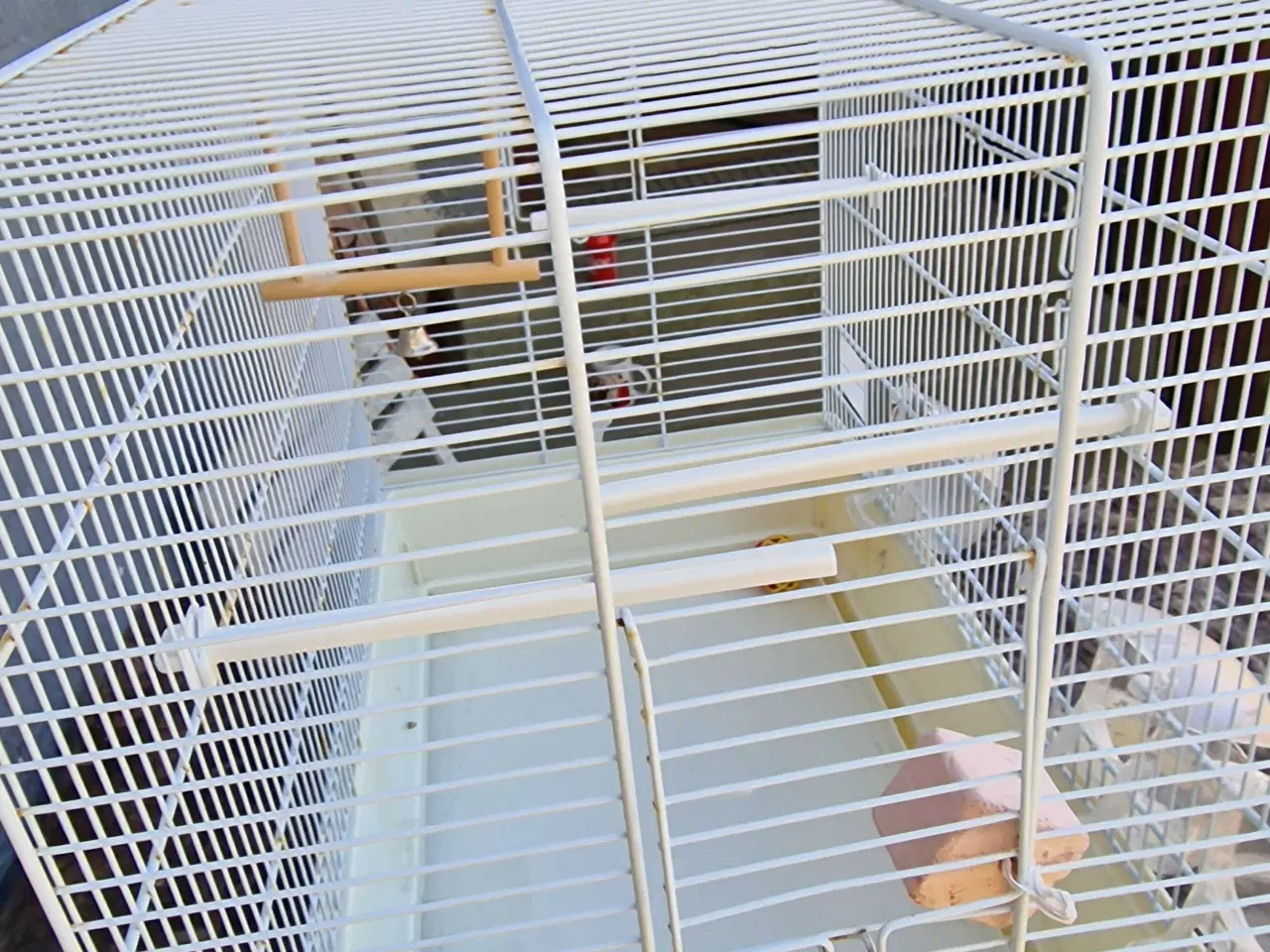 Billede 4 - Fuglebur 