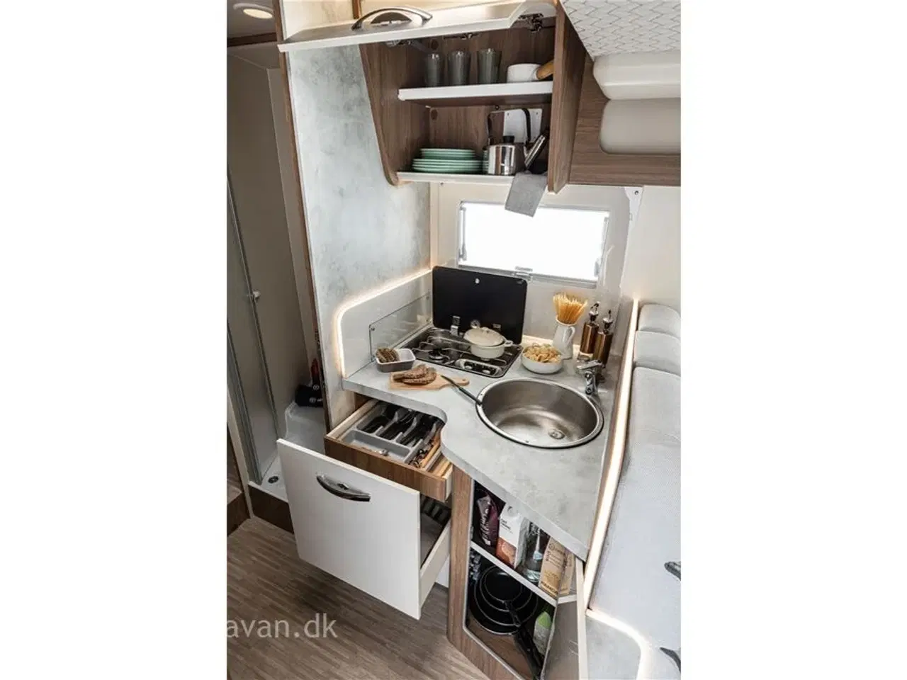 Billede 10 - 2026 - Elnagh Baron 579