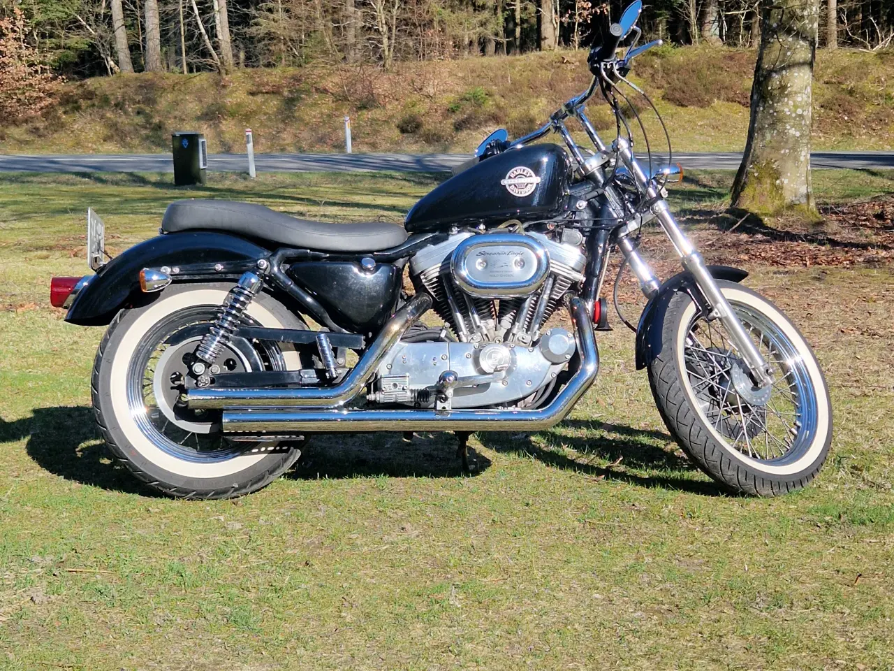 Billede 2 - Sportster 883 Nysynet