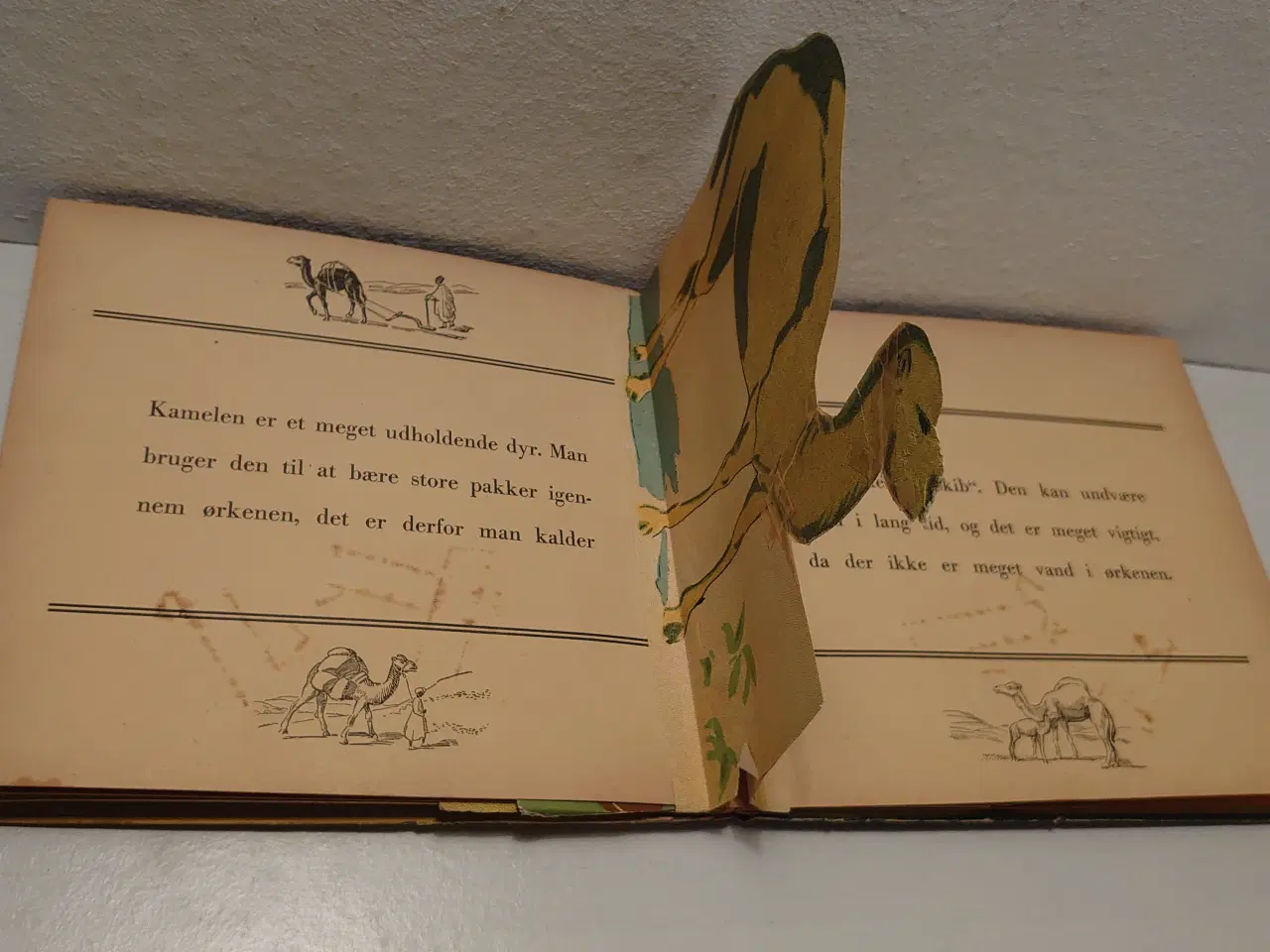 Billede 5 - R. Edelmann:Dyrene i Noahs ark. Sjælden pop-up bog