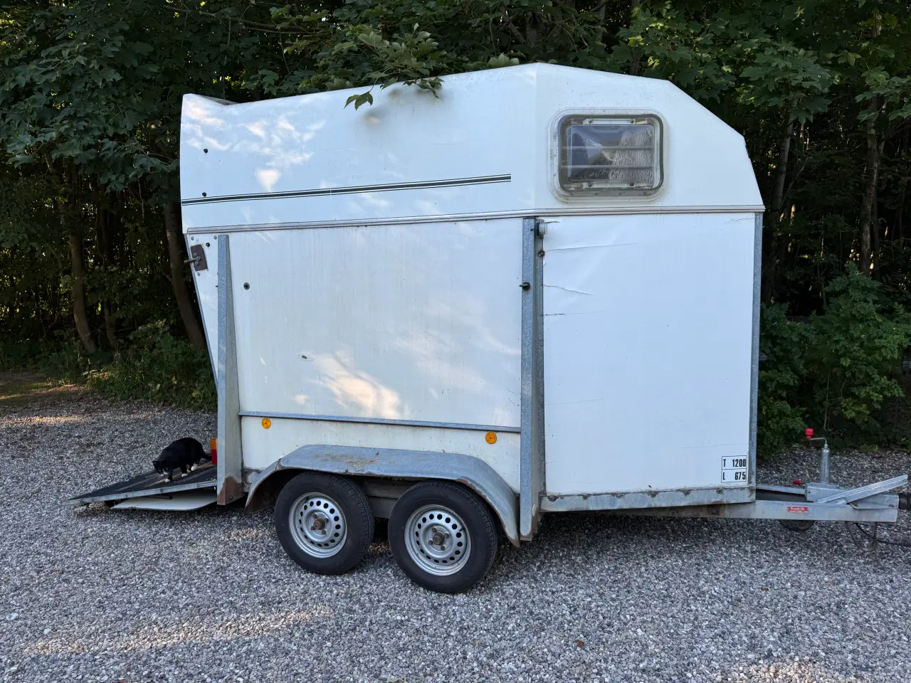 Billede 1 - Brenderup Hestertrailer