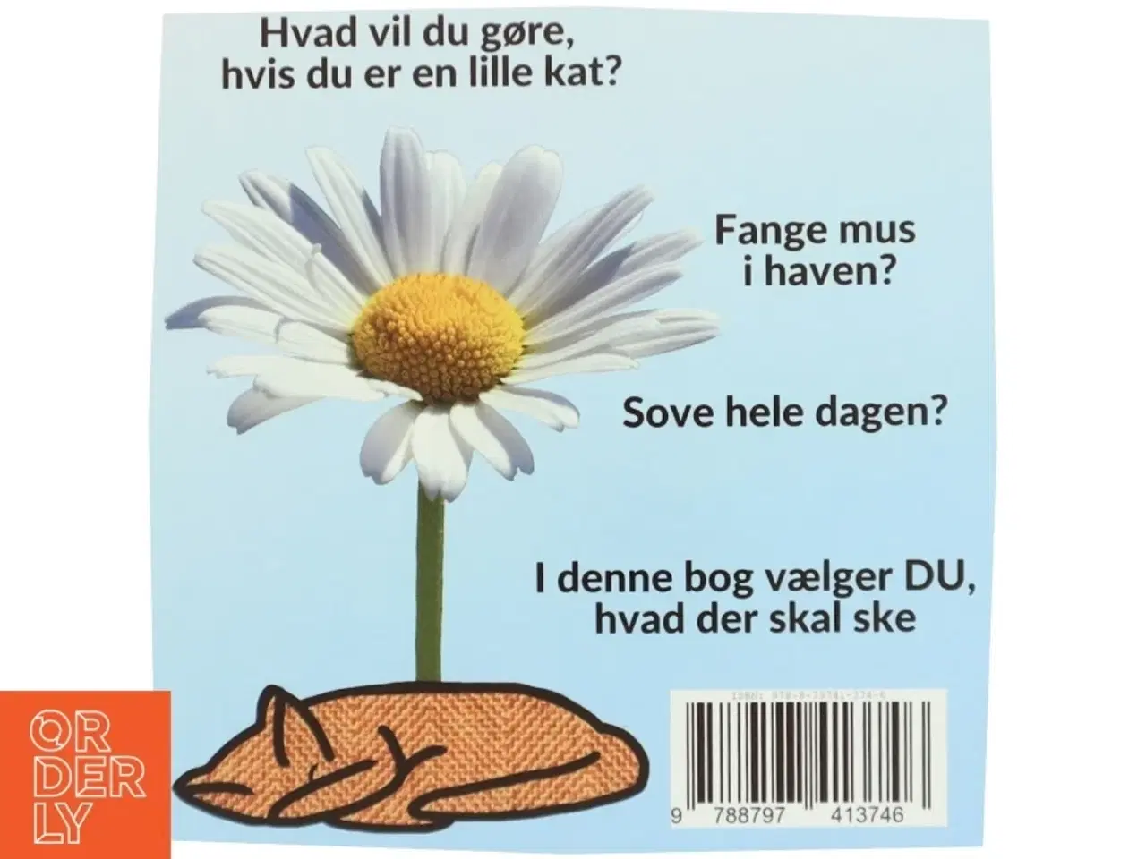 Billede 3 - Hvad vil du, når DU leger kat - af Sarah Kirstein