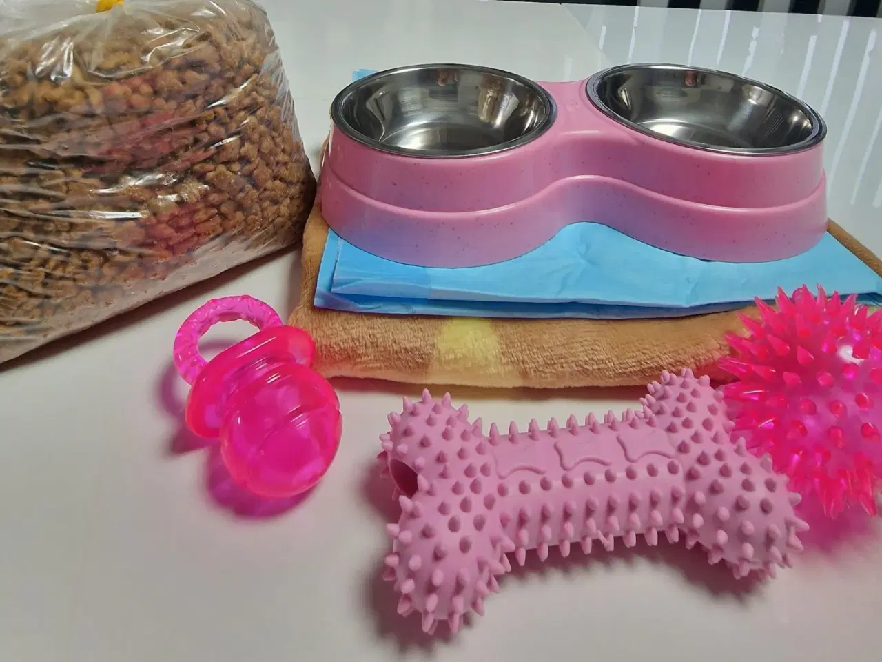 Billede 8 - Bichon havanaiser hvalpe med stamtavle 