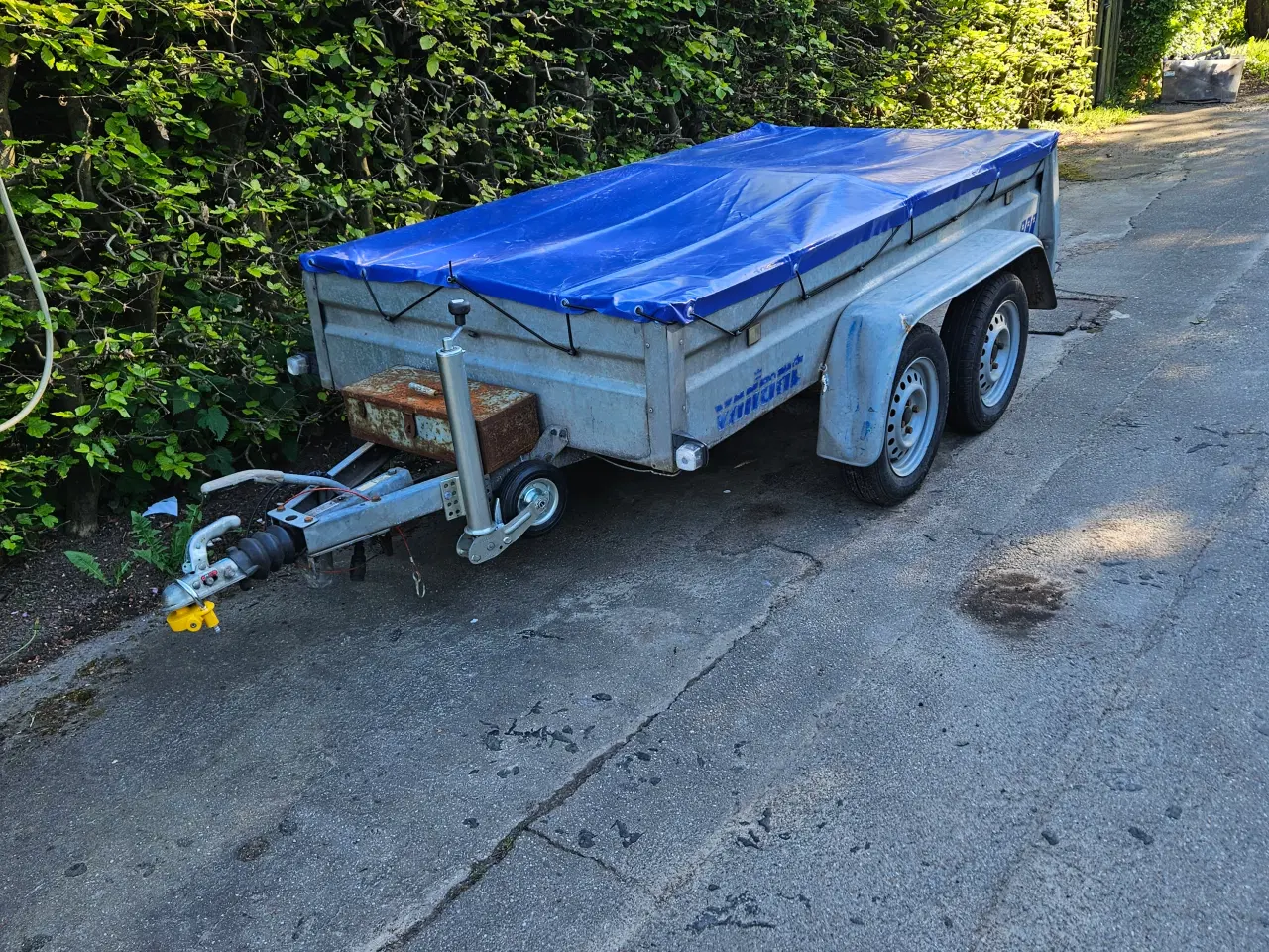 Billede 6 - 1000 kg trailer variant boogie