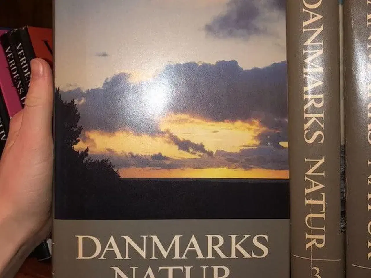 Billede 2 - Danmarks natur bind 1-12