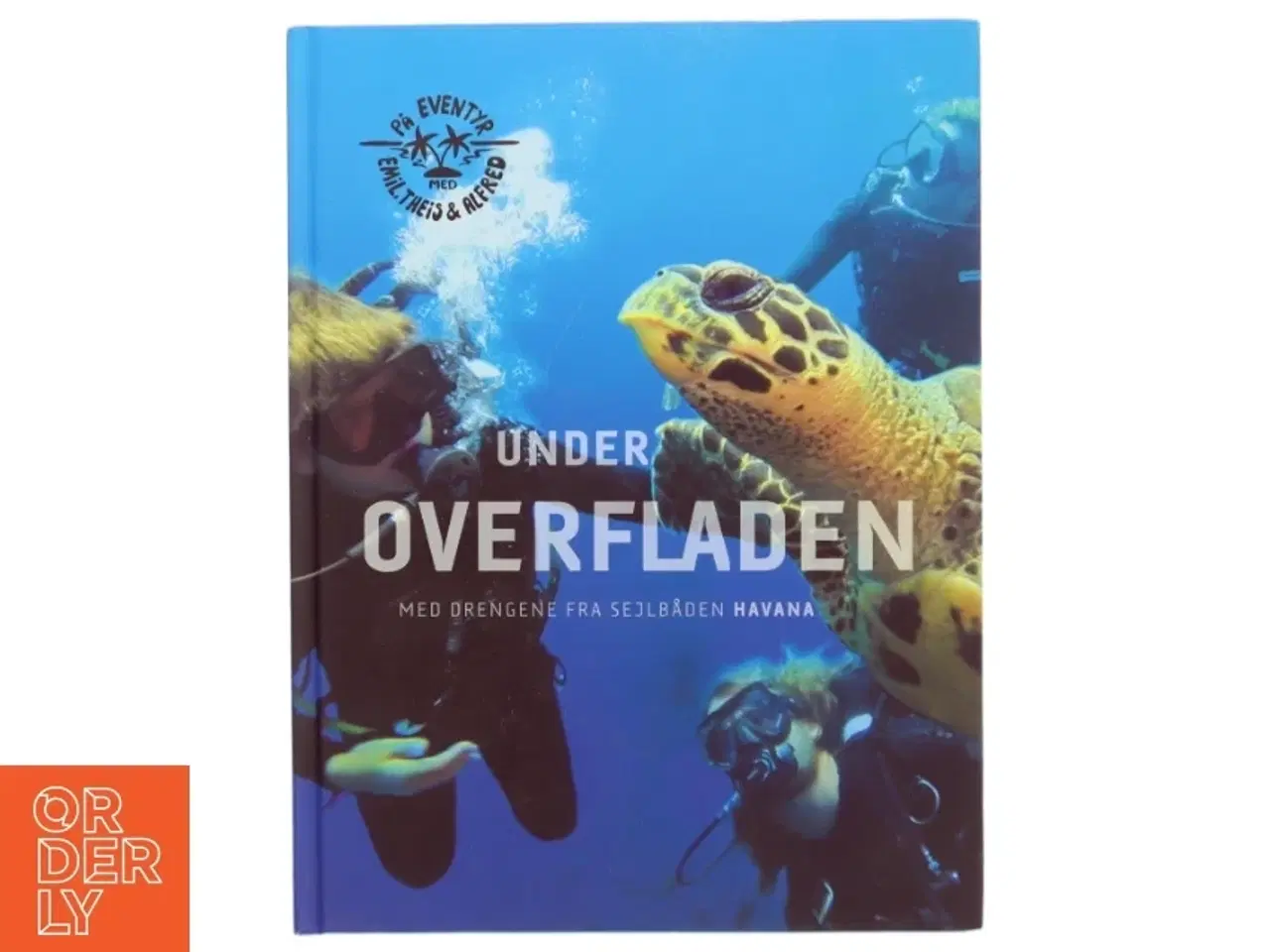 Billede 1 - Under overfladen af Alfred Midé Erichsen (Bog)