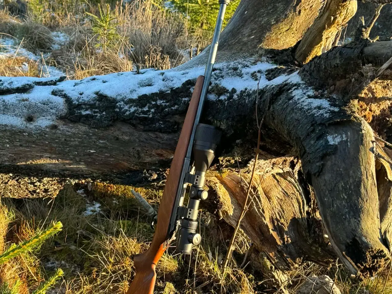 Billede 2 - Moosberg riffel 30.06