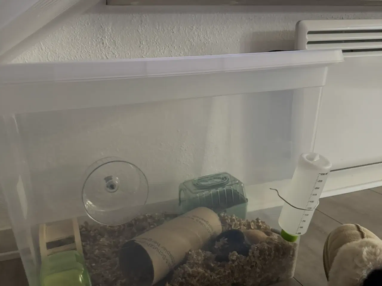 Billede 9 - 2 hamster 🐹 sælges